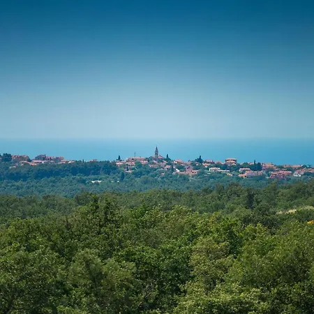 Arta * Πόρετς